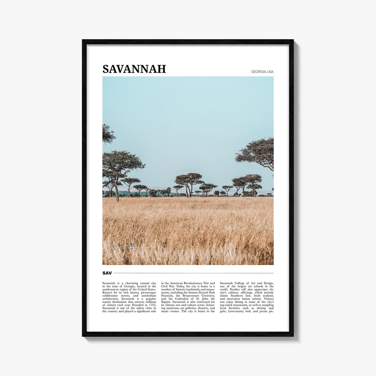 Savannah Travel Poster