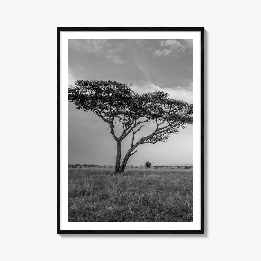 Savannah no. 2 black & white photo poster of Georgia, USA – vertical wall art, unframed print shown in interior mockup
