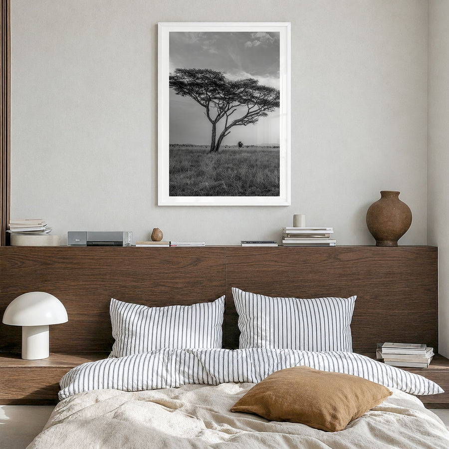 Savannah Photo No 2 Poster in a white wood frame, hanging in a bedroom, white border