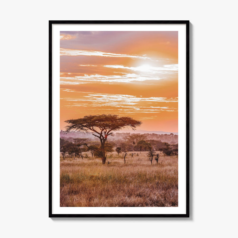 Savannah Photo No 2 Poster, framed poster mockup, white border