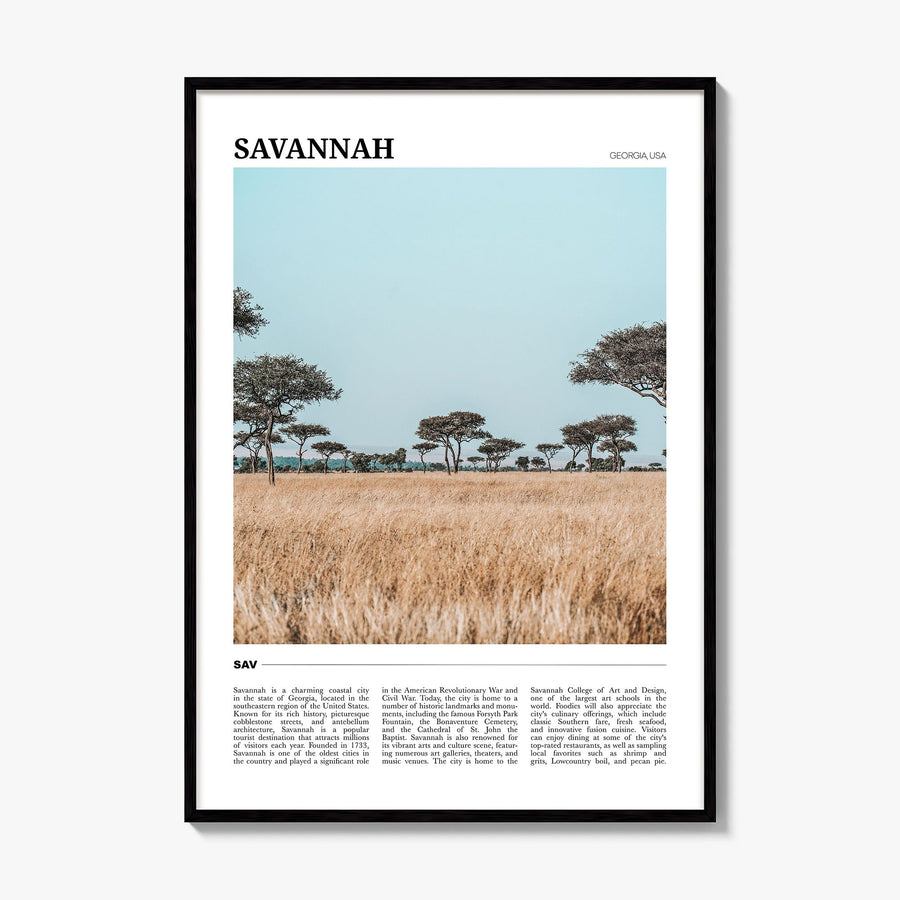Savannah Travel Poster, framed poster mockup