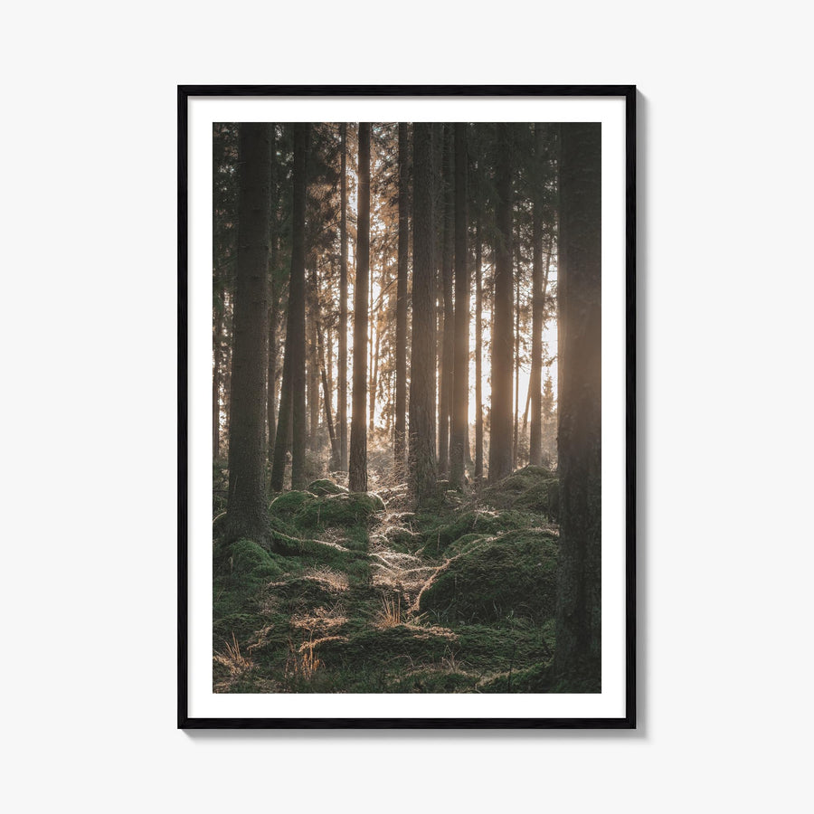 Scandinavian Forest no. 1 colorful photo poster – vertical wall art, unframed print shown in interior mockup