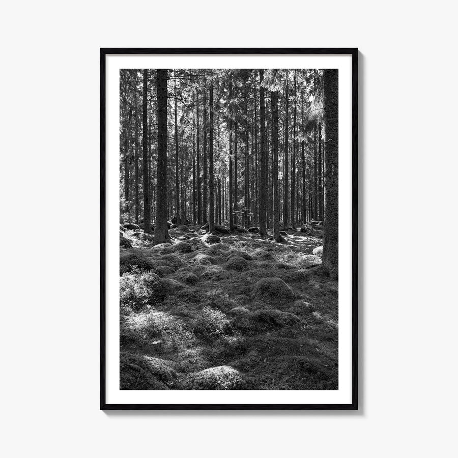 Scandinavian Forest black & white photo poster – vertical wall art, unframed print shown in interior mockup