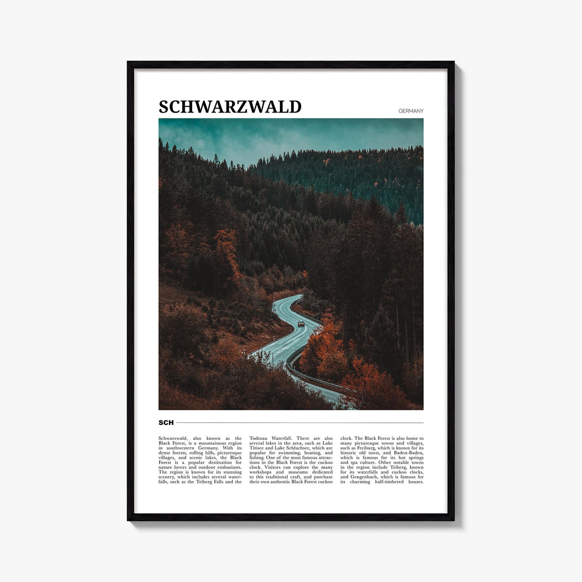 Black Forest Travel Poster