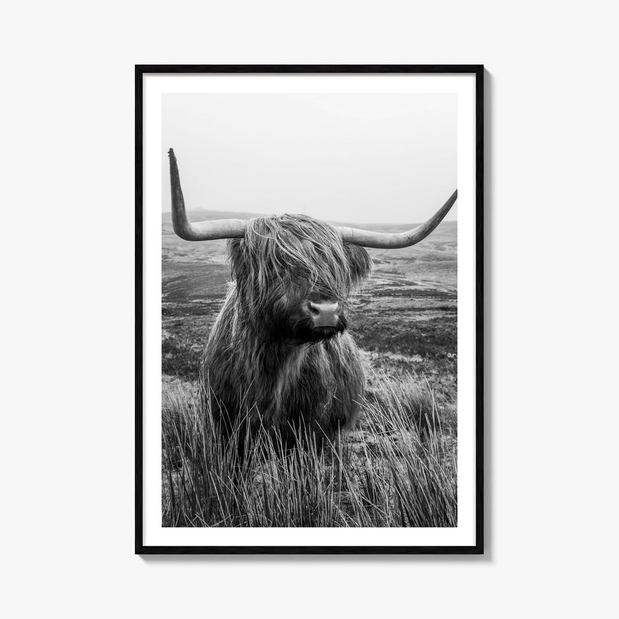 Scottish Highlander no. 1 black & white photo poster – vertical wall art, unframed print shown in interior mockup