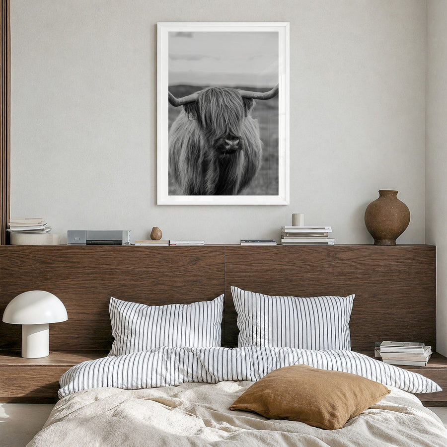 Highland Cow Photo No 2 Poster in a white wood frame, hanging in a bedroom, white border