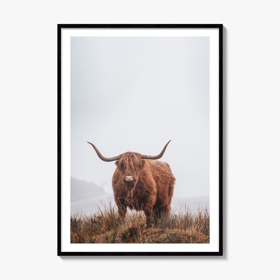 Highland Cow Photo No 1 Poster, framed poster mockup, white border