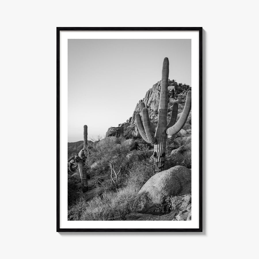 Scottsdale no. 2 black & white photo poster of Arizona, USA – vertical wall art, unframed print shown in interior mockup