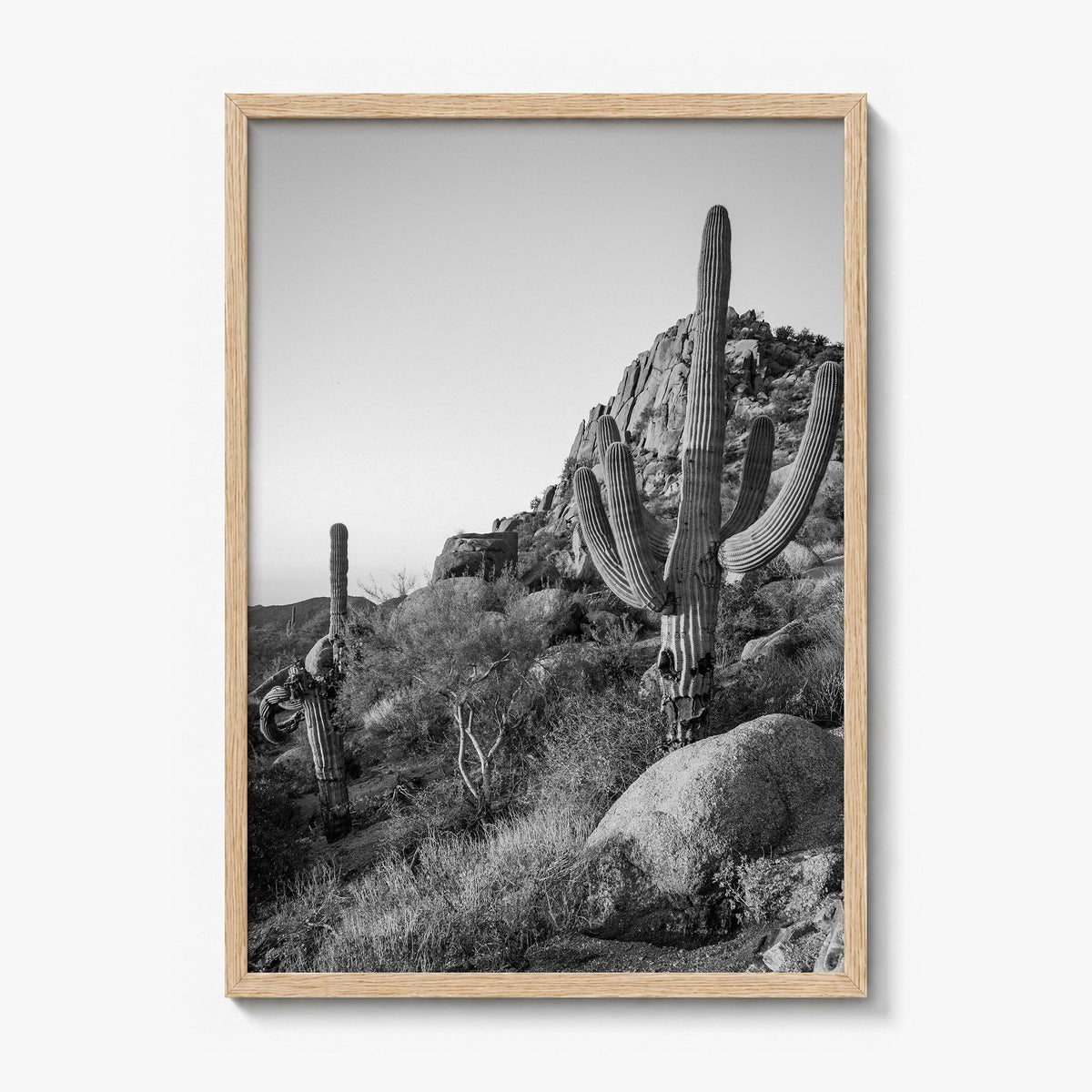 Scottsdale Photo No 2 Poster in a natural wood frame, full image (no border)