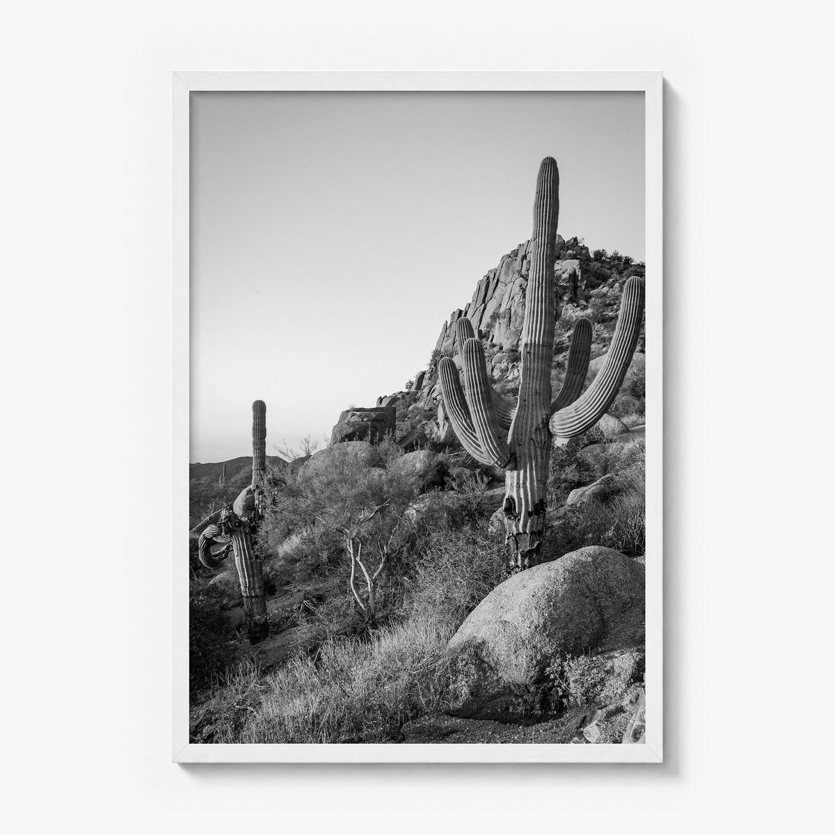 Scottsdale Photo No 2 Poster in a white wood frame, full image (no border)