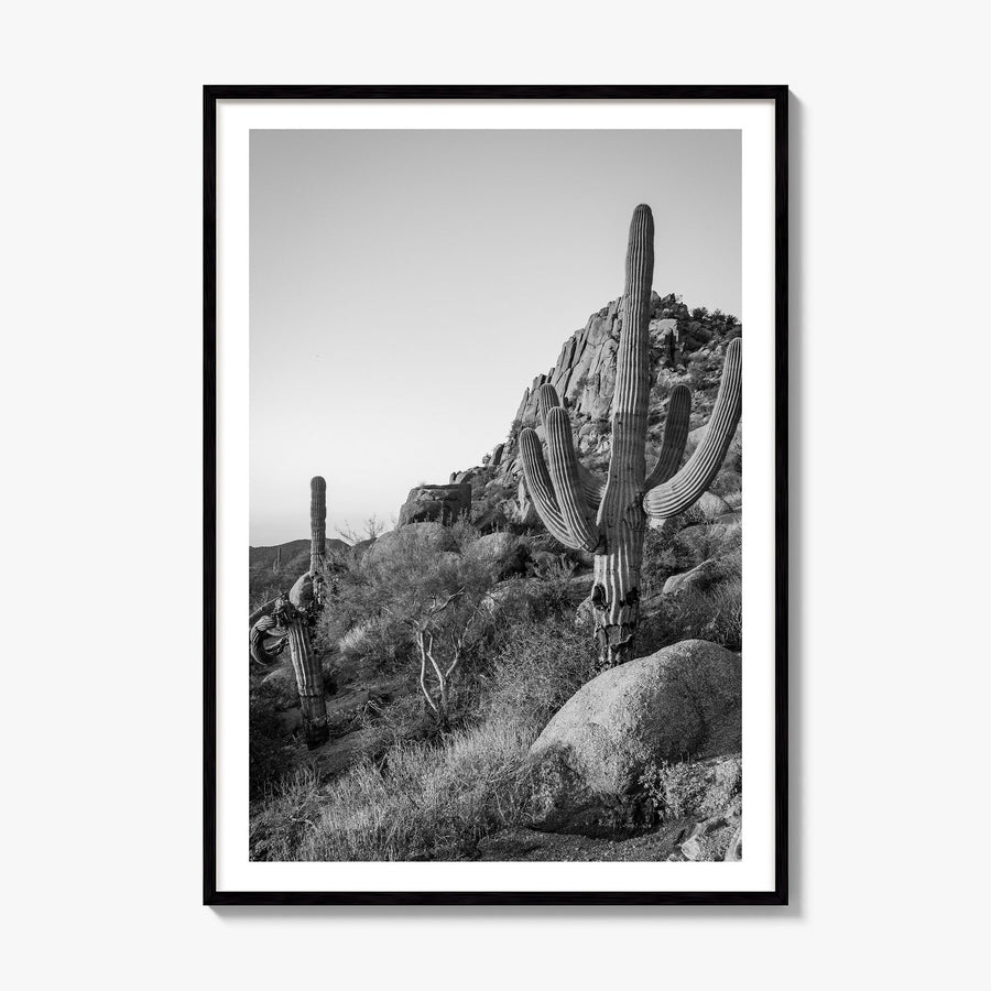 Scottsdale Photo No 2 Poster, framed poster mockup, white border