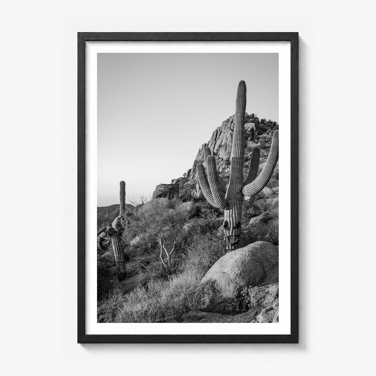Scottsdale Photo No 2 Poster in a black wood frame, white border