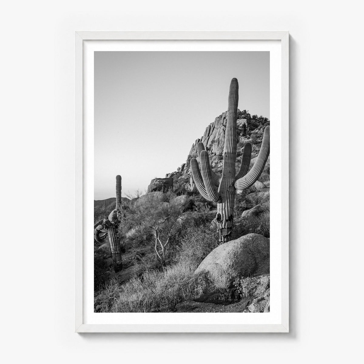 Scottsdale Photo No 2 Poster in a white wood frame, white border