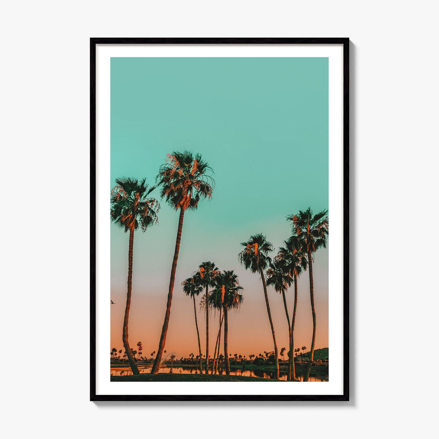 Scottsdale Photo No 2 Poster, framed poster mockup, white border
