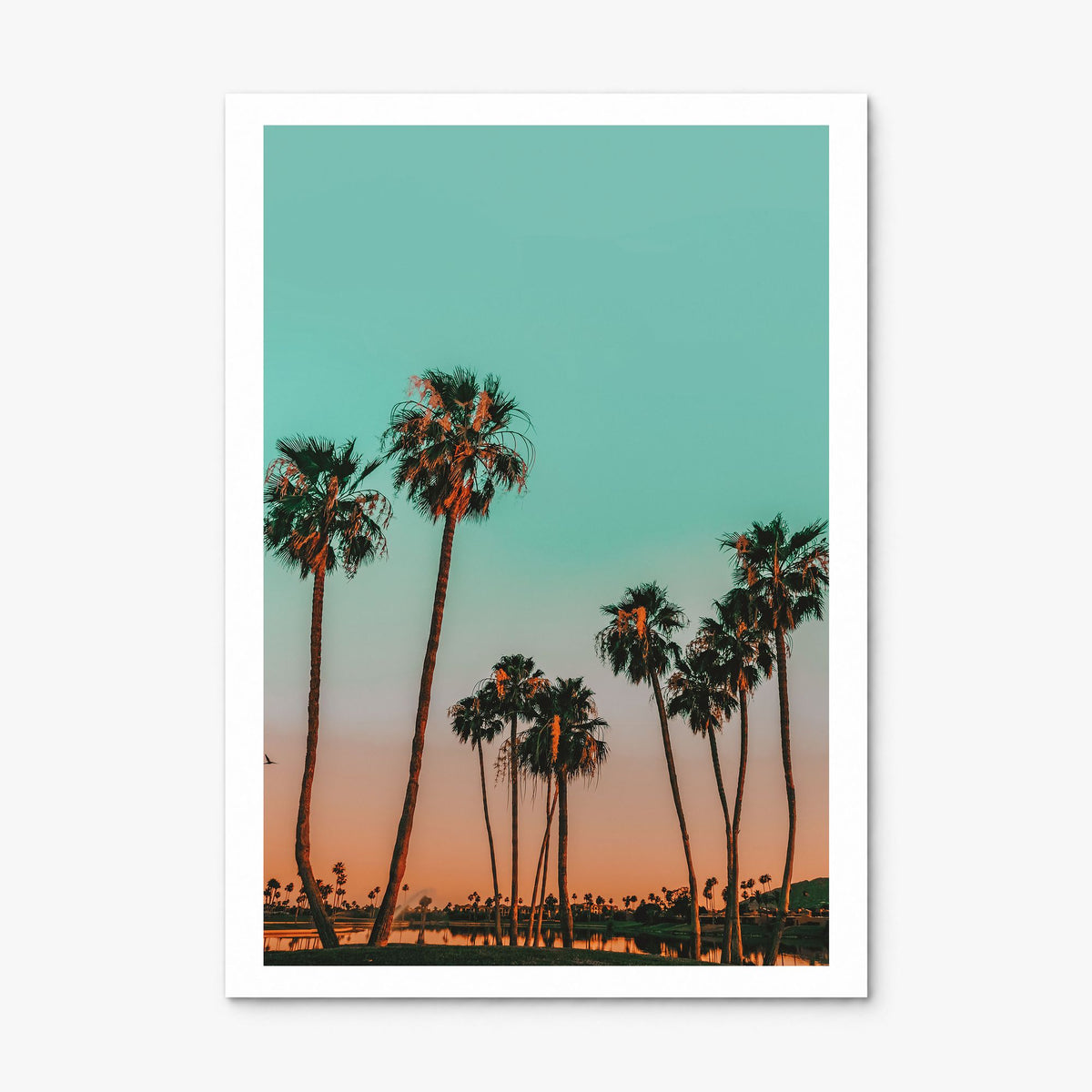 Scottsdale Photo No 2 Poster, print only (unframed), white border