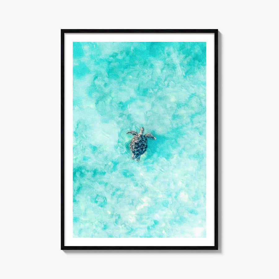 Sea Turtle no. 1 colorful photo poster – vertical wall art, unframed print shown in interior mockup