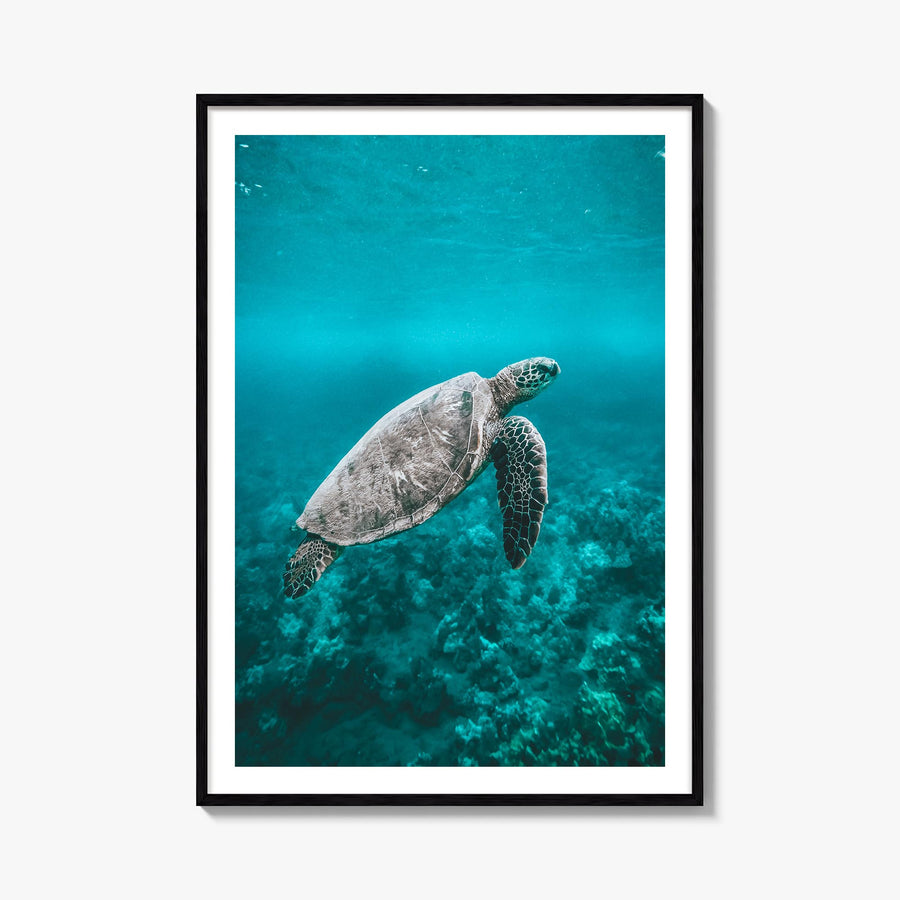 Sea Turtle no. 2 colorful photo poster – vertical wall art, unframed print shown in interior mockup