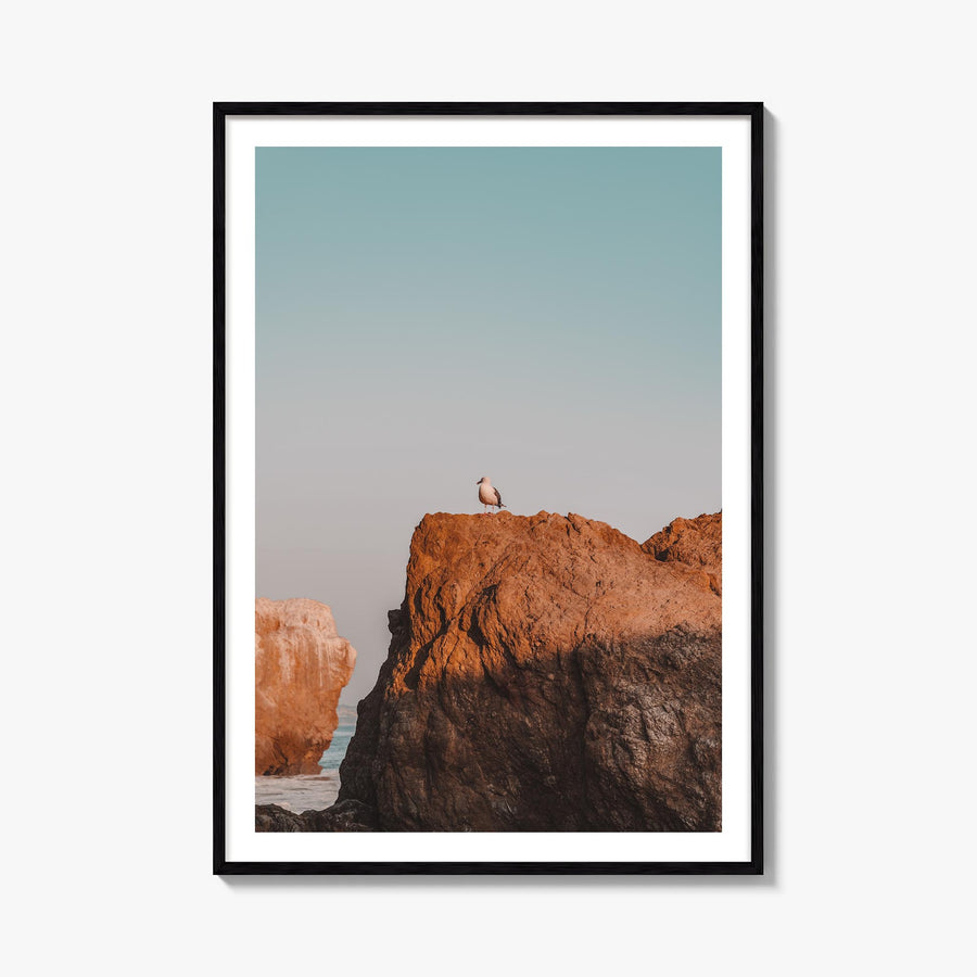 Seagull on a Beach Rock colorful photo poster – vertical wall art, unframed print shown in interior mockup