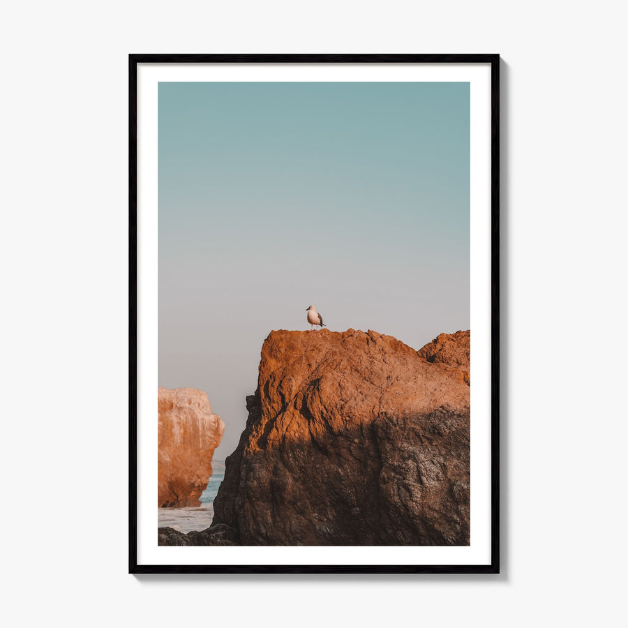 Seagull on a Beach Rock Photo Poster, framed poster mockup, white border
