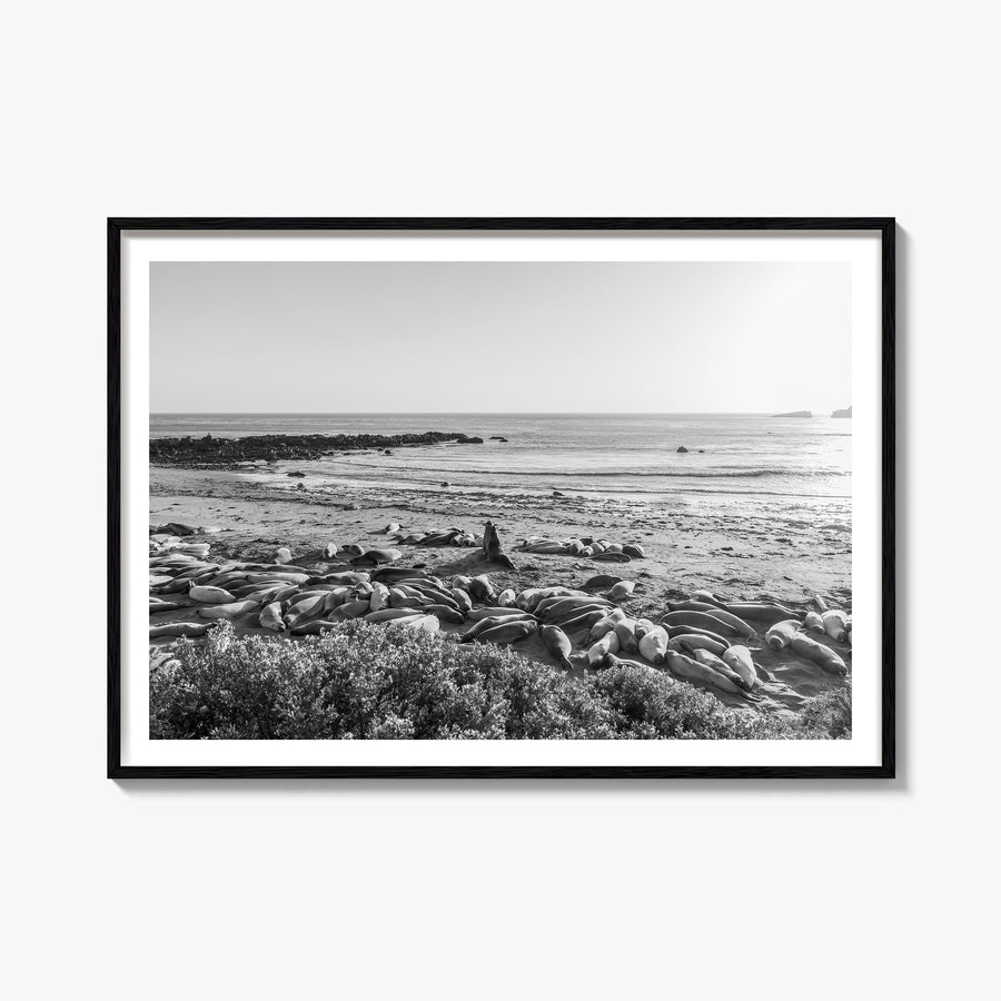 Seal Beach black & white photo poster of California, USA – horizontal wall art, unframed print shown in interior mockup