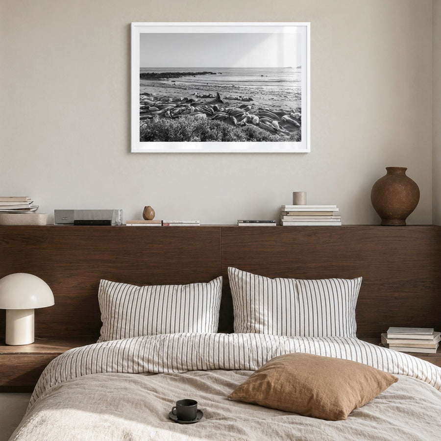 Seal Beach Photo Poster in a white wood frame, hanging in a bedroom, white border