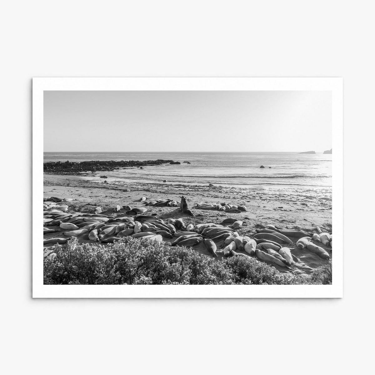 Seal Beach Photo Poster, print only (unframed), white border