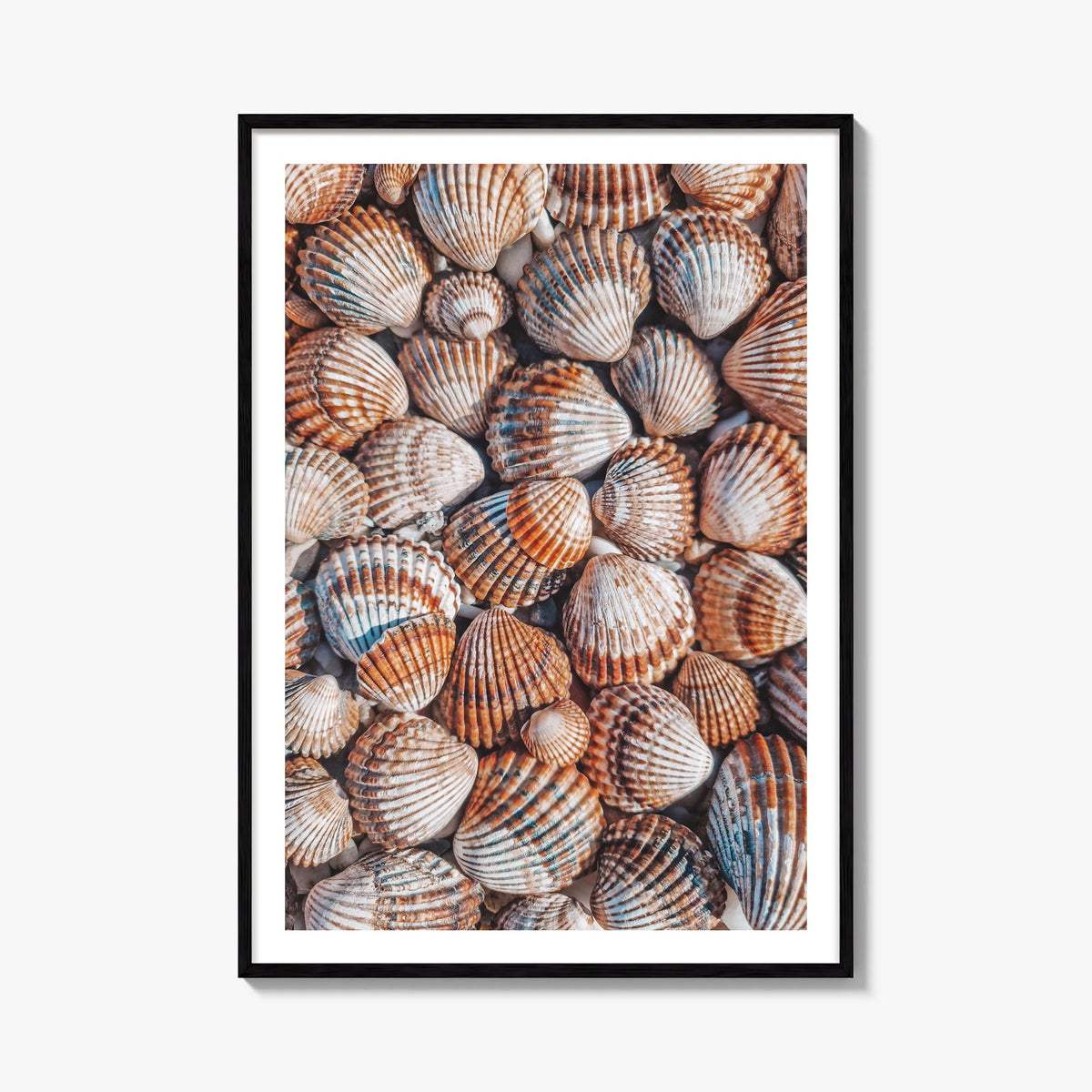 Seashells colorful photo poster – vertical wall art, unframed print shown in interior mockup