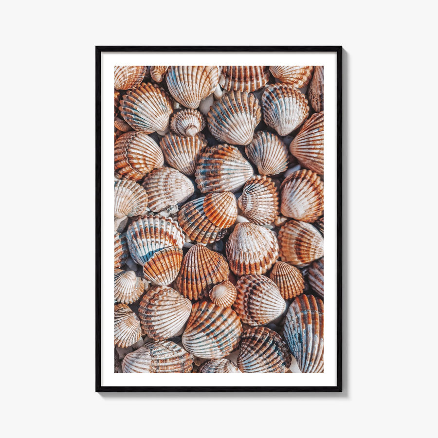 Seashells colorful photo poster – vertical wall art, unframed print shown in interior mockup