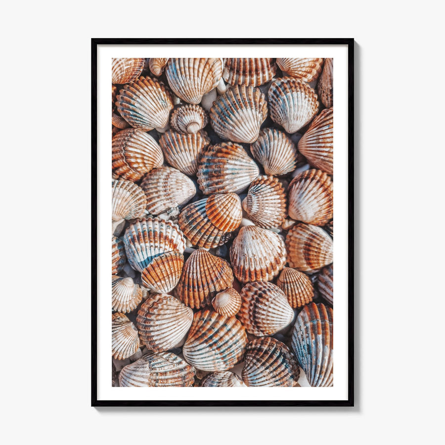 Seashells Photo Poster, framed poster mockup, white border