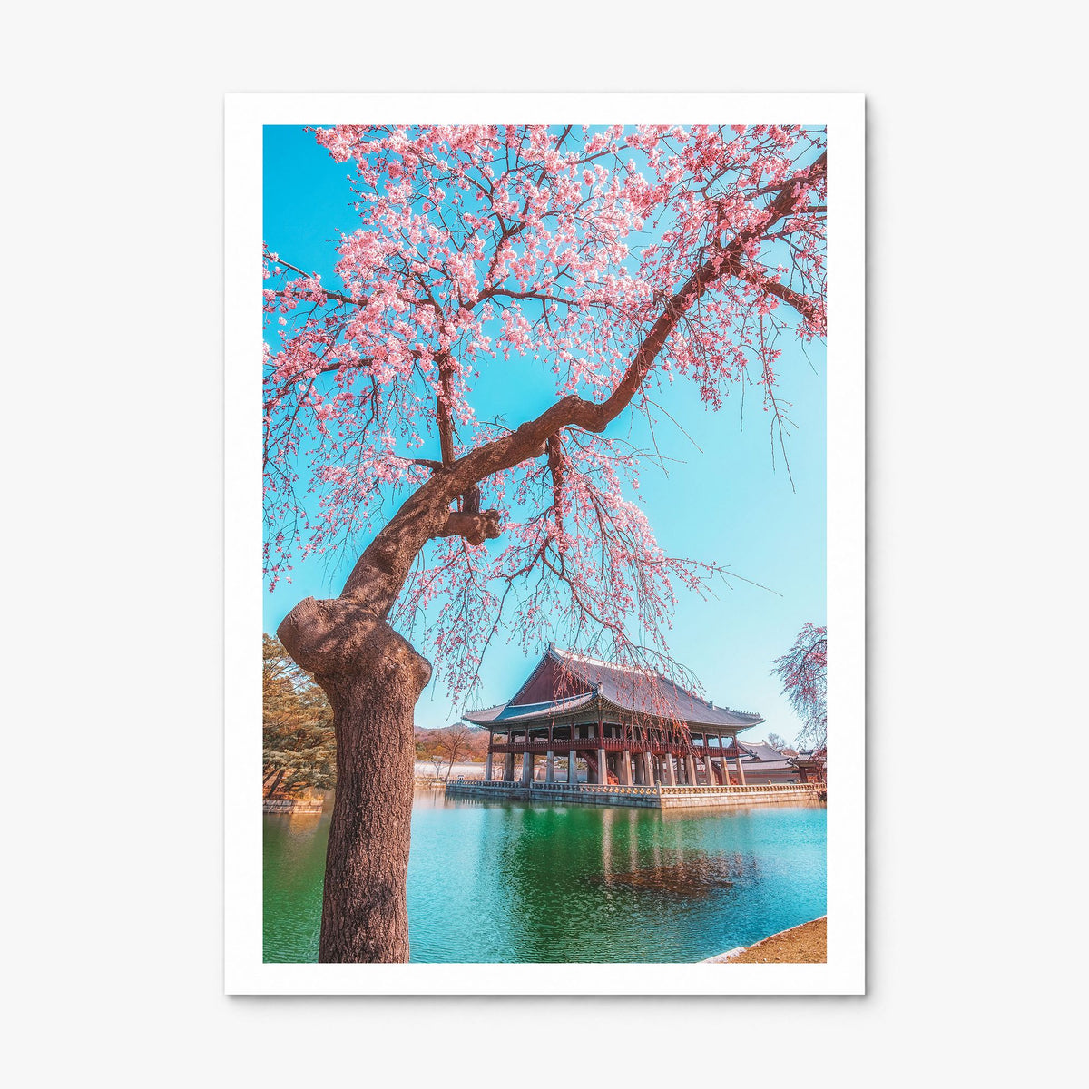 Seoul Photo No 3 Poster, print only (unframed), white border