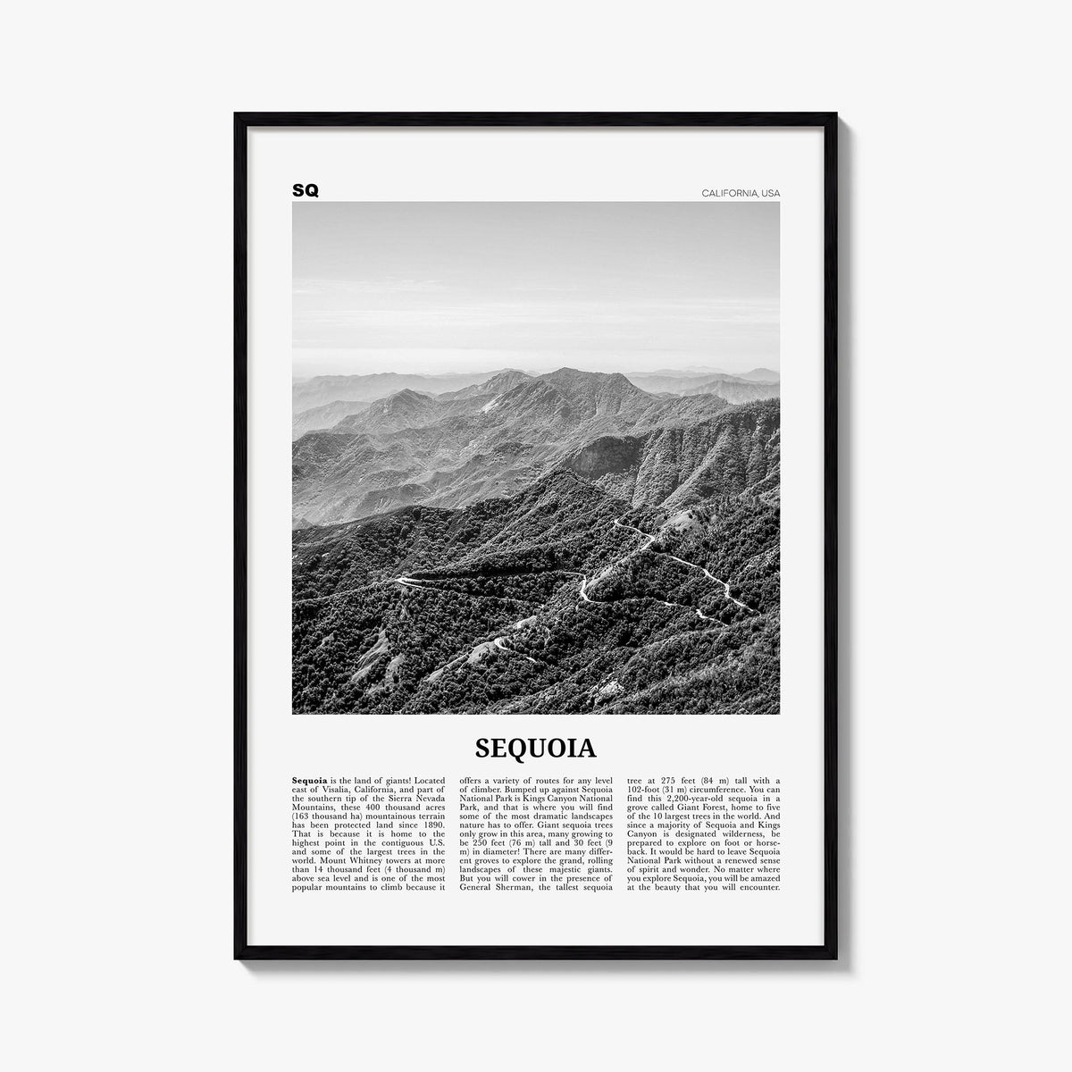 Sequoia National Park black & white newspaper poster of California, USA – vertical wall art, unframed print shown in interior