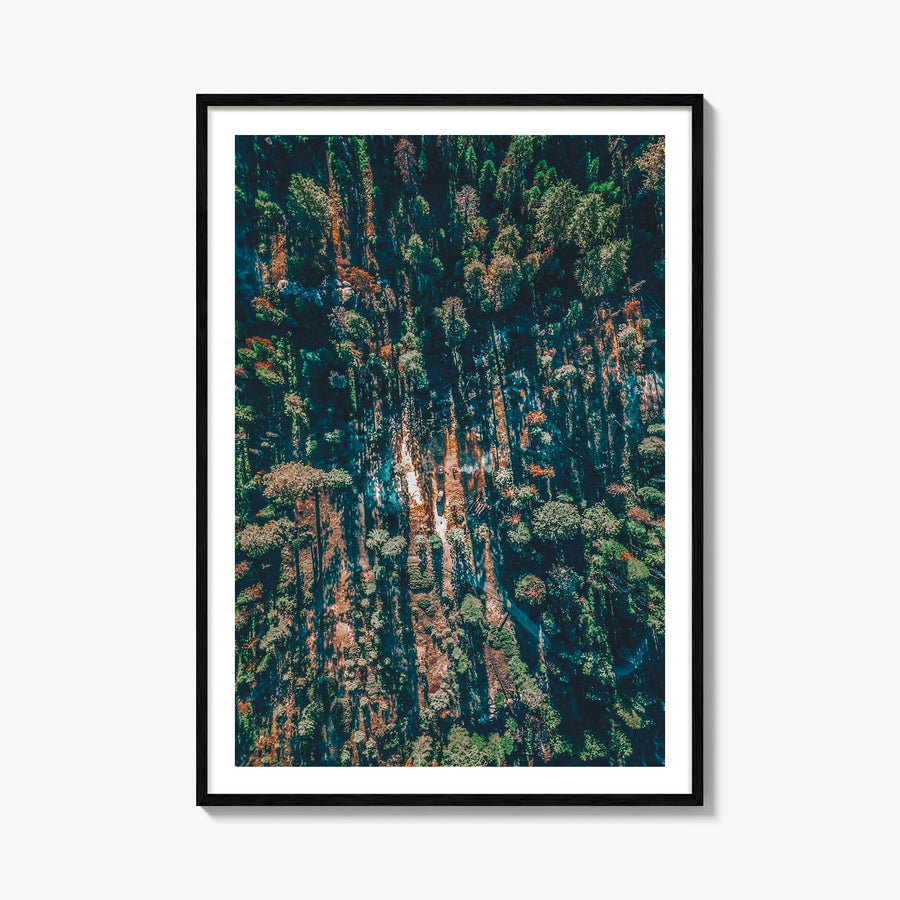 Sequoia National Park colorful photo poster of California, USA – vertical wall art, unframed print shown in interior mockup