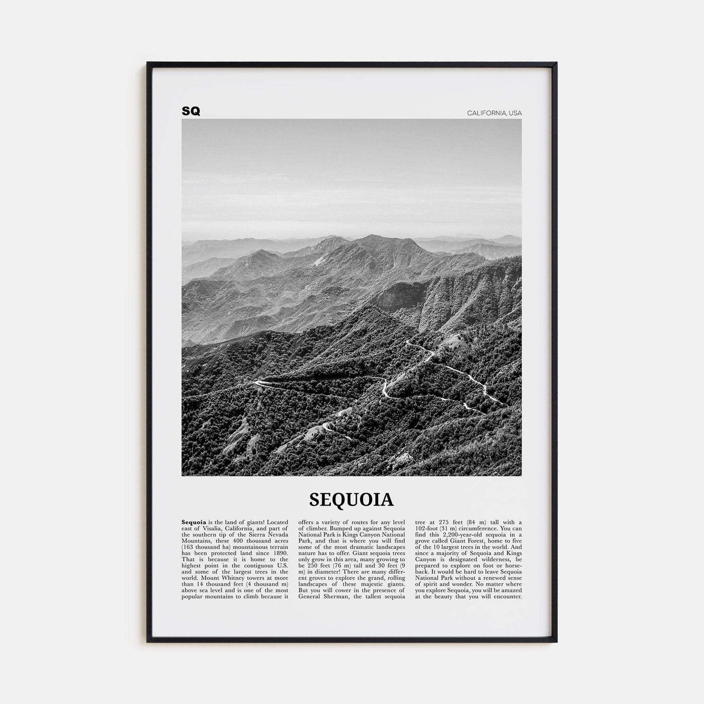 Sequoia National Park Poster Black Metal / 8x12 in Nbourhood Travel B&W Poster