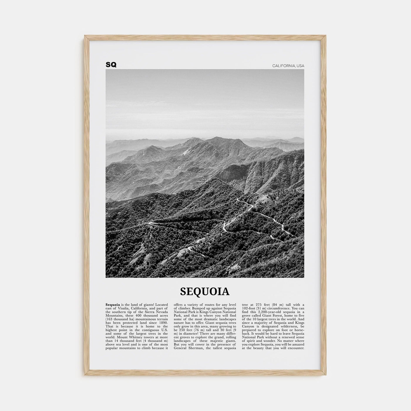 Sequoia National Park Poster Natural Wood / 8x12 in Nbourhood Travel B&W Poster