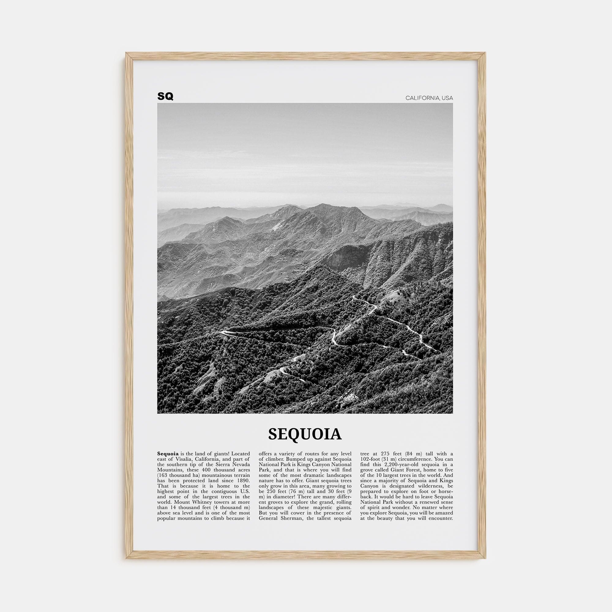 Sequoia National Park Poster Natural Wood / 8x12 in Nbourhood Travel B&W Poster