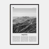 Sequoia National Park Poster Black Wood / 8x12 in Nbourhood Travel B&W Poster