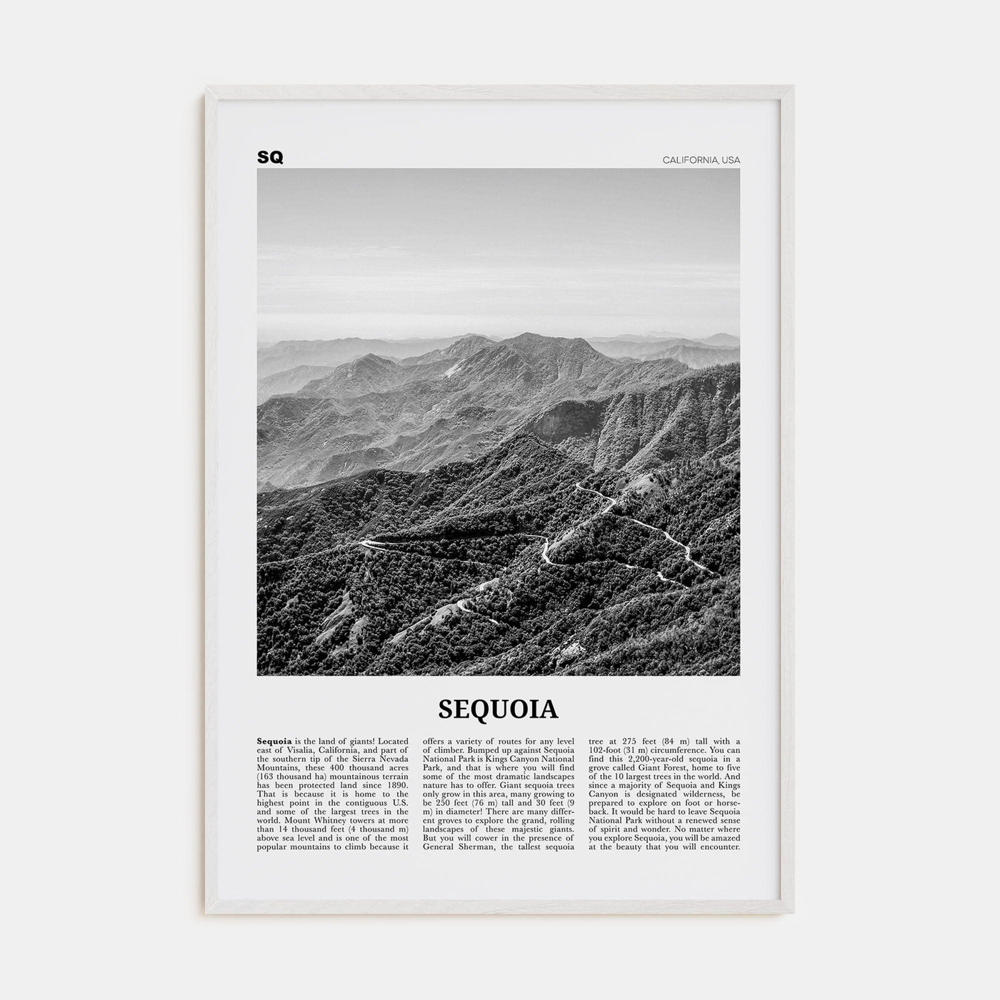 Sequoia National Park Poster White Wood / 8x12 in Nbourhood Travel B&W Poster