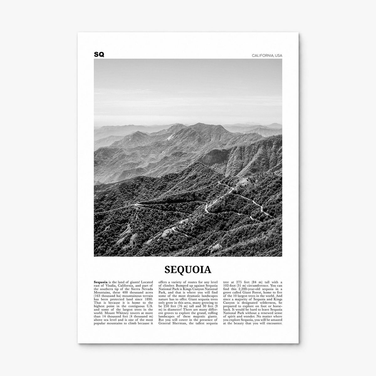 Sequoia National Park Newspaper Poster, print only (unframed)