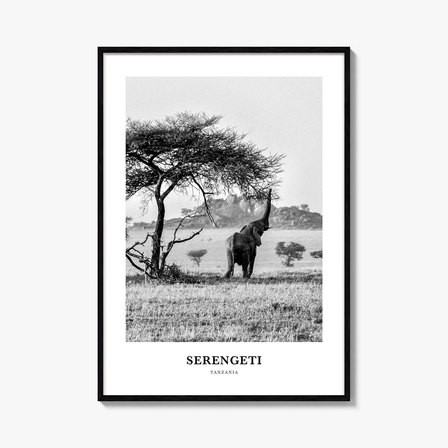 Serengeti National Park black & white classic poster of Tanzania – vertical wall art, unframed print shown in interior mockup