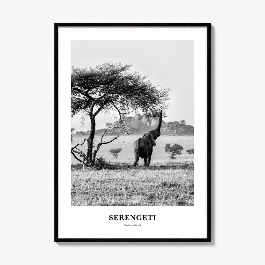 Serengeti National Park Classic Poster, framed poster mockup