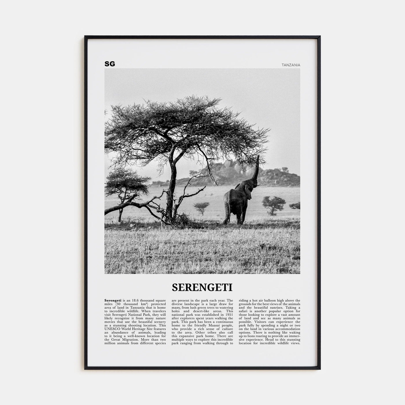 Serengeti National Park Poster Black Metal / 8x12 in Nbourhood Travel B&W Poster