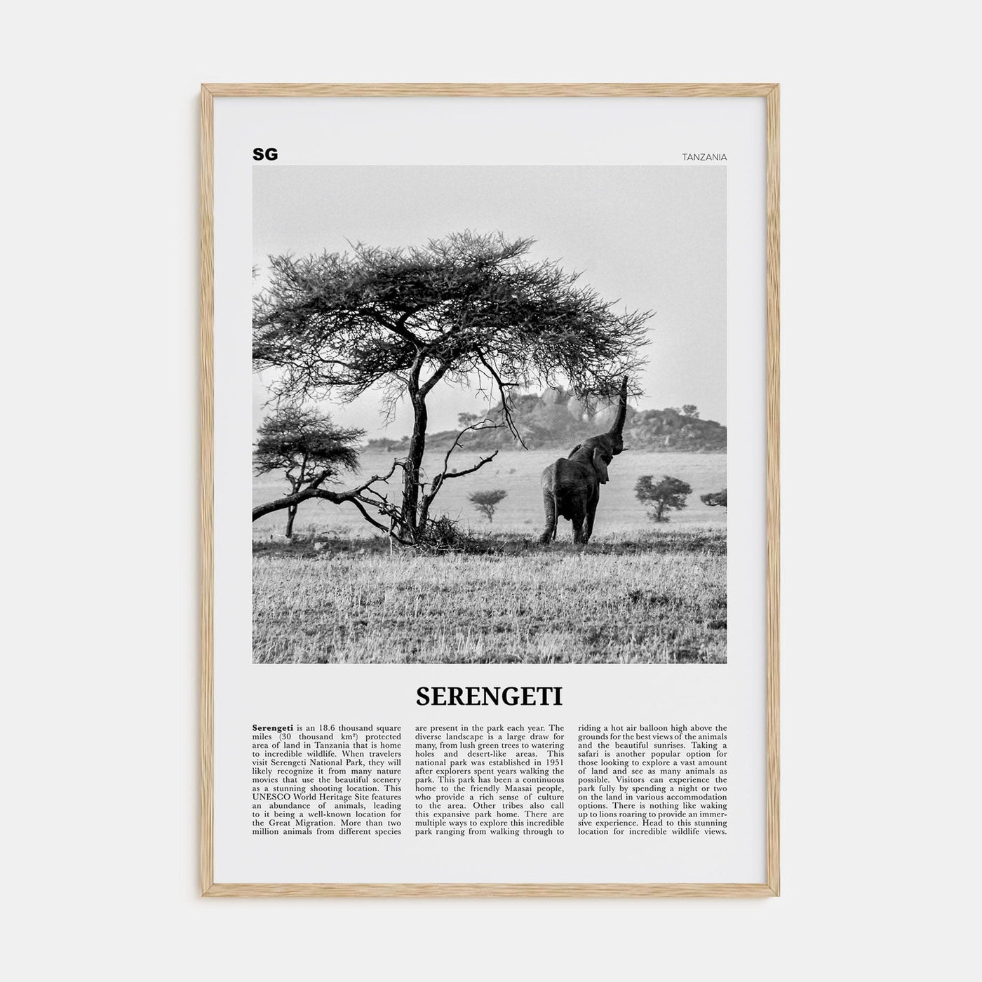 Serengeti National Park Poster Natural Wood / 8x12 in Nbourhood Travel B&W Poster