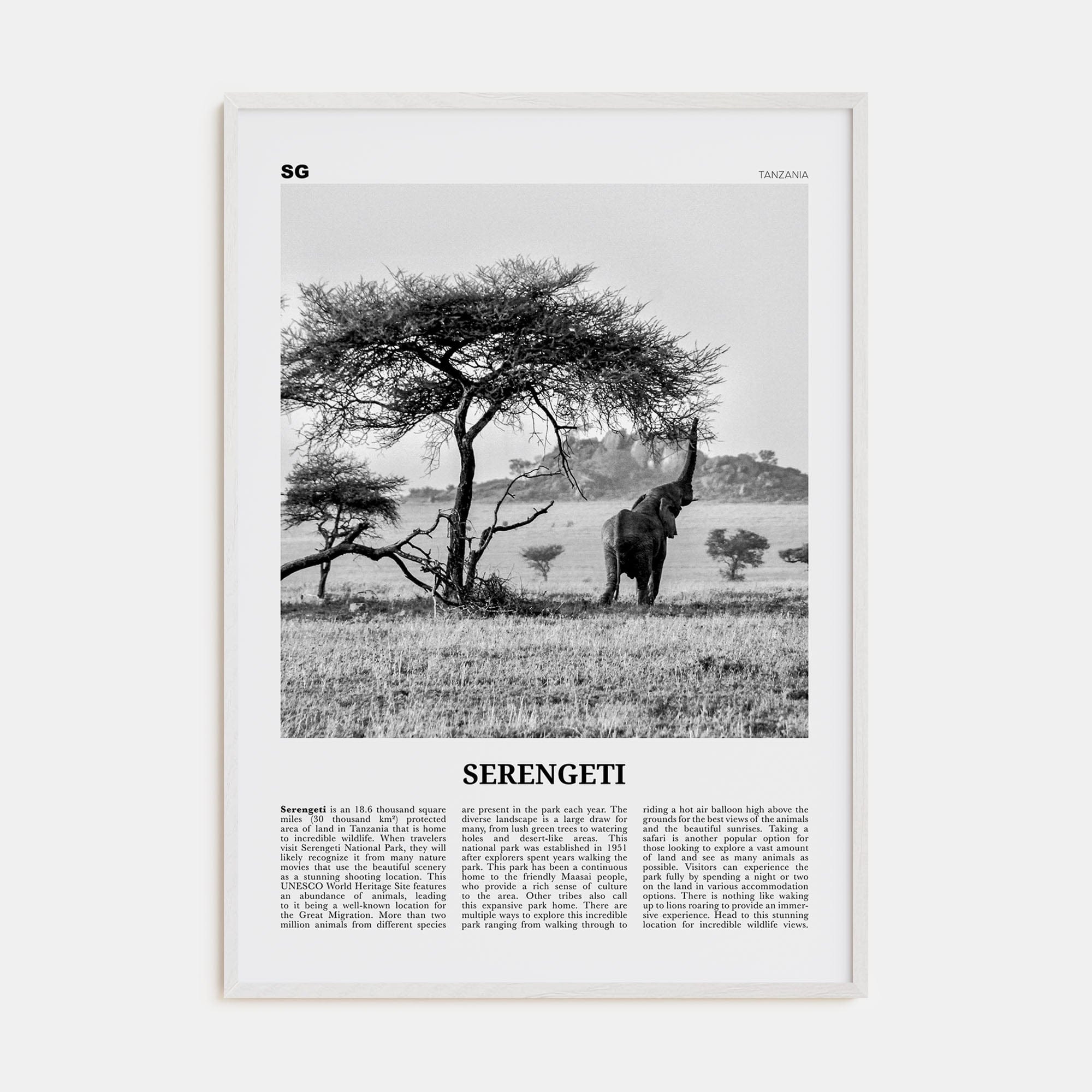 Serengeti National Park Poster White Wood / 8x12 in Nbourhood Travel B&W Poster