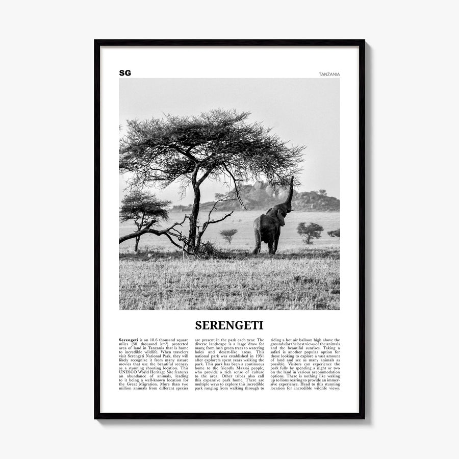 Serengeti National Park Newspaper Poster, framed poster mockup