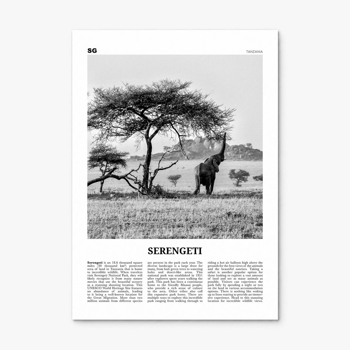 Serengeti National Park Newspaper Poster, print only (unframed)