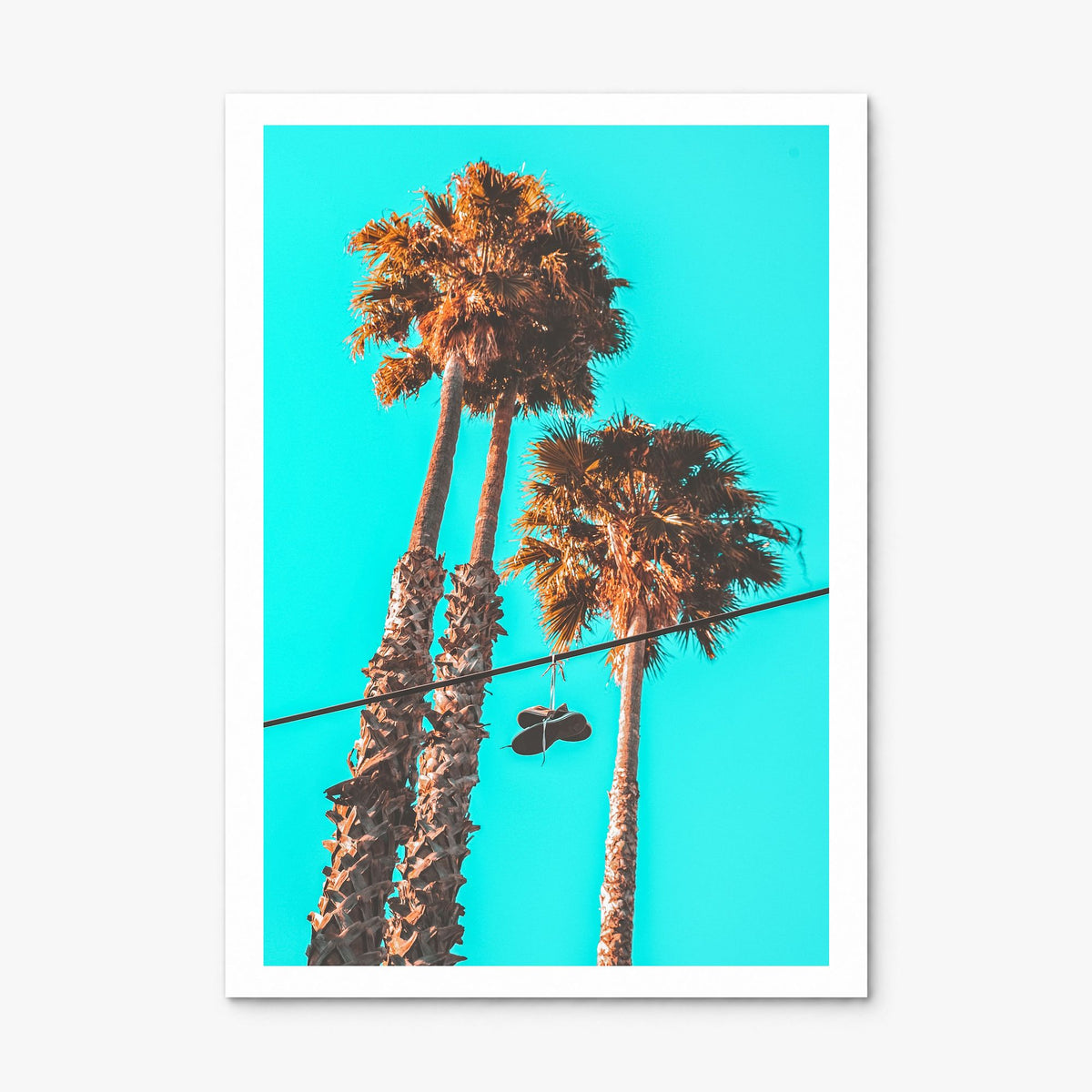 Shoes Hanging Photo Poster, print only (unframed), white border