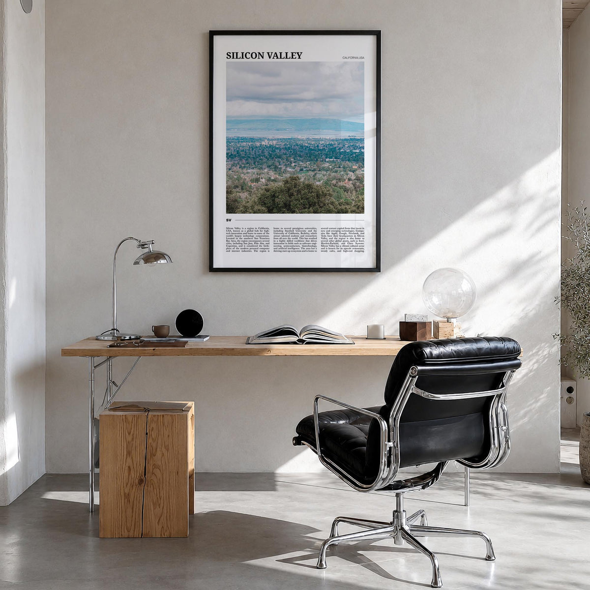 Silicon Valley Travel No 1 Poster