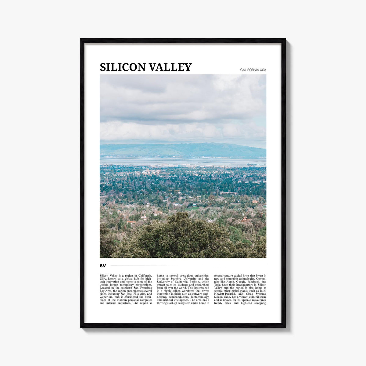 Silicon Valley Travel No 1 Poster