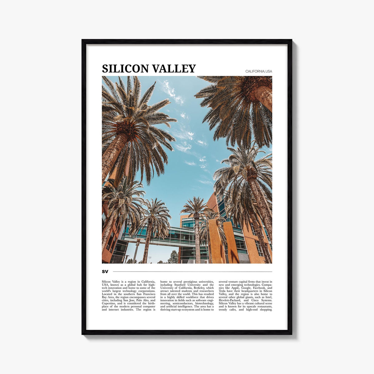 Silicon Valley Travel No 2 Poster