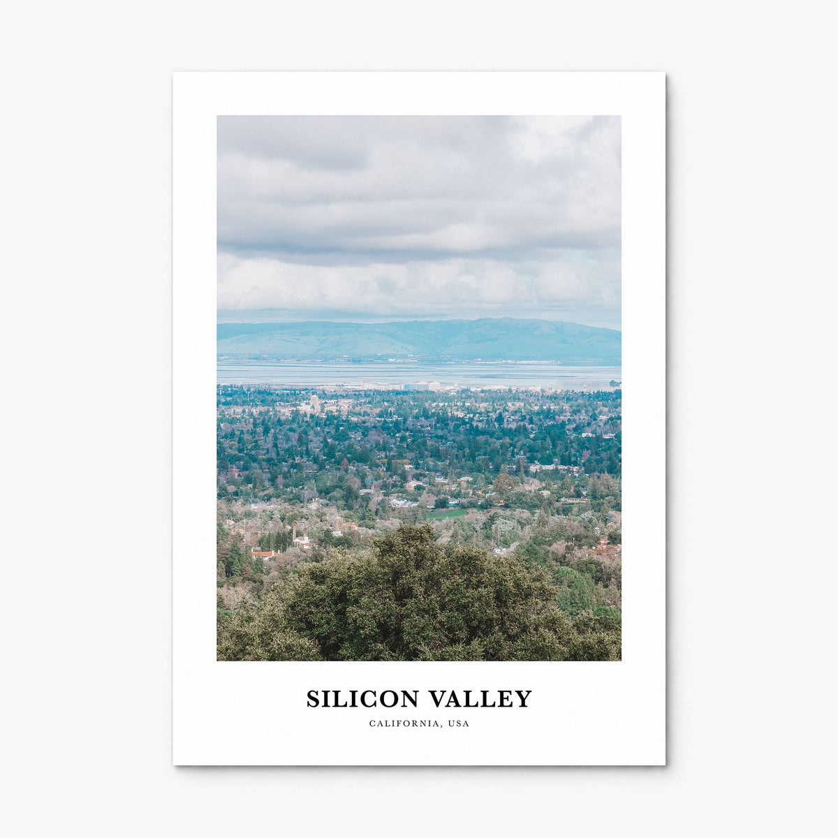 Silicon Valley Classic No 1 Poster, print only (unframed)